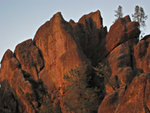 pinnacles112810-110.jpg