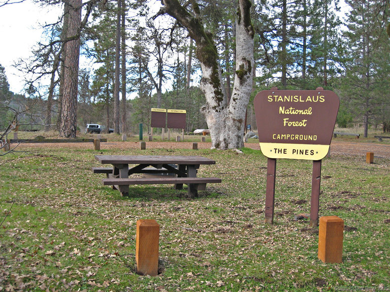 The Pines Campground