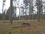 The Pines Campground