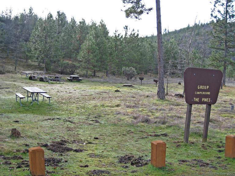 The Pines Campground