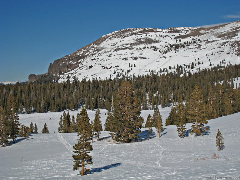 Stevens Peak