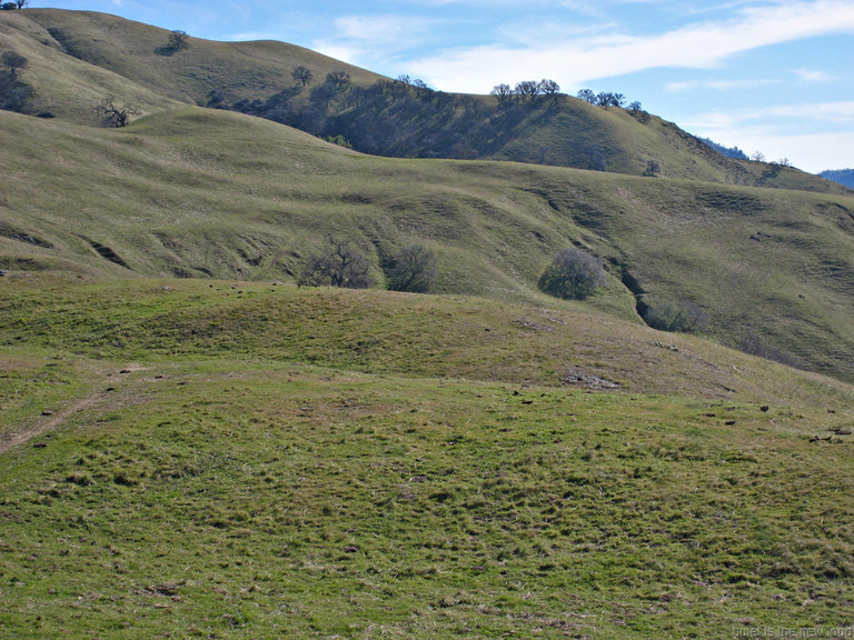 Ohlone Wilderness Trail