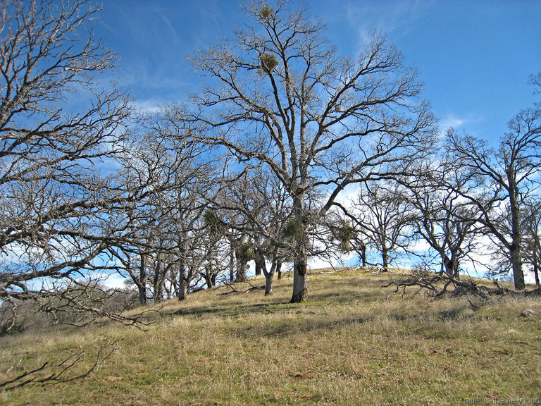 Hill above Doe Canyon Horse Camp