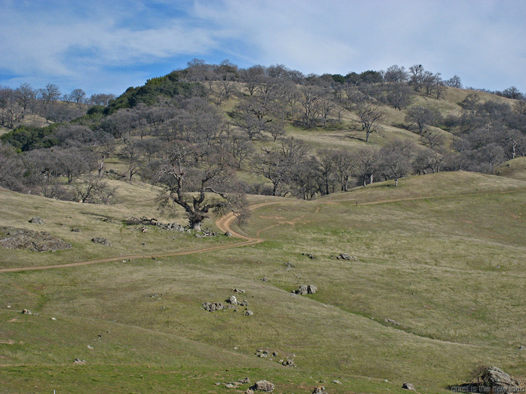 Ohlone Wilderness Trail