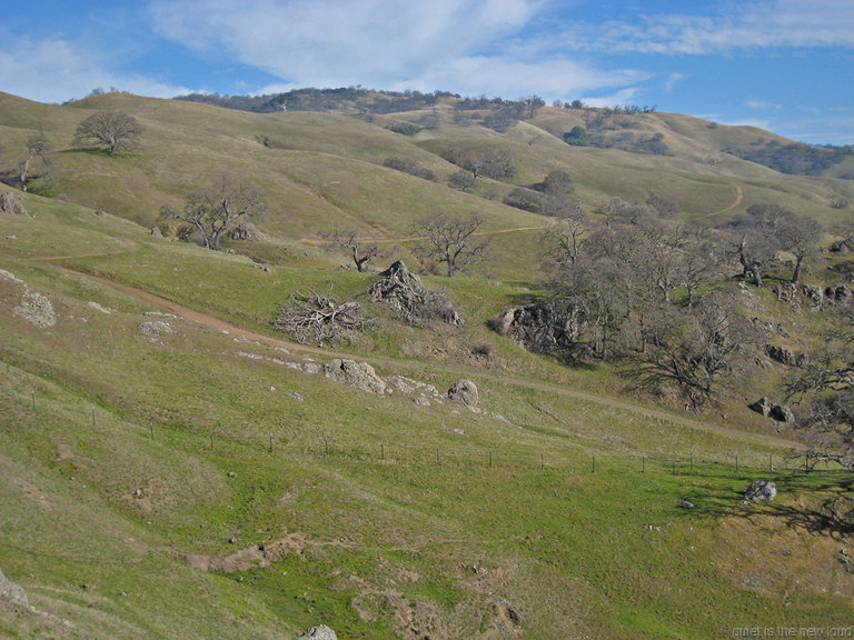 Ohlone Wilderness Trail