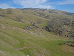 Ohlone Wilderness Trail