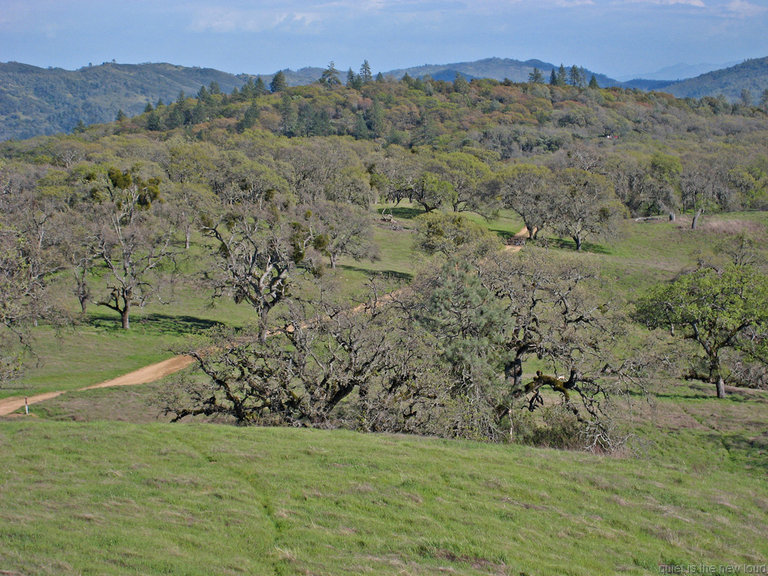 Manzanita Point Road