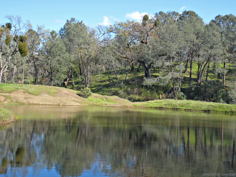 Bass Pond