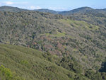 Hills from Manzanita Point