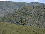 Hills from Manzanita Point