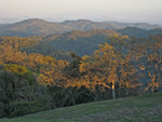 South from Manzanita Point Road