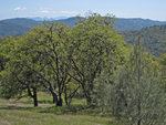 Southeast from Middle Ridge Trail