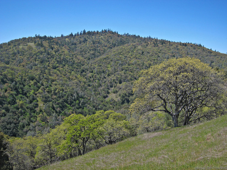 West from Middle Ridge Trail