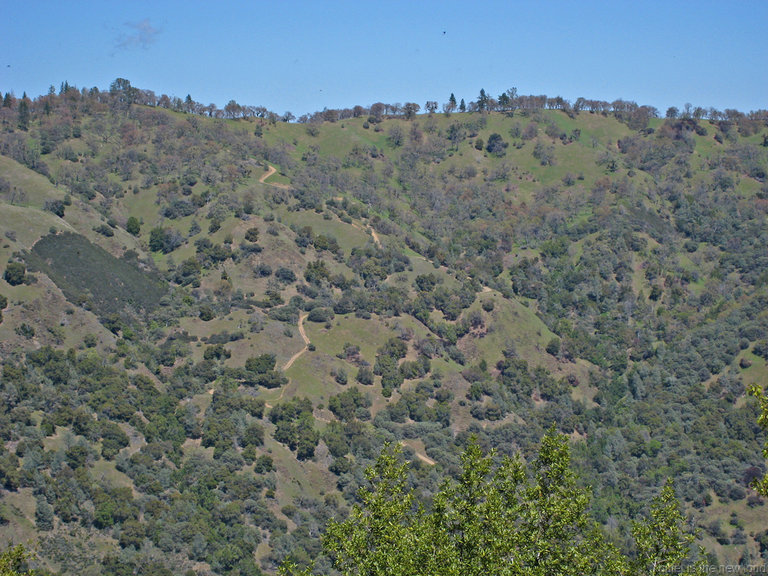 Hobbs Road, Blue Ridge