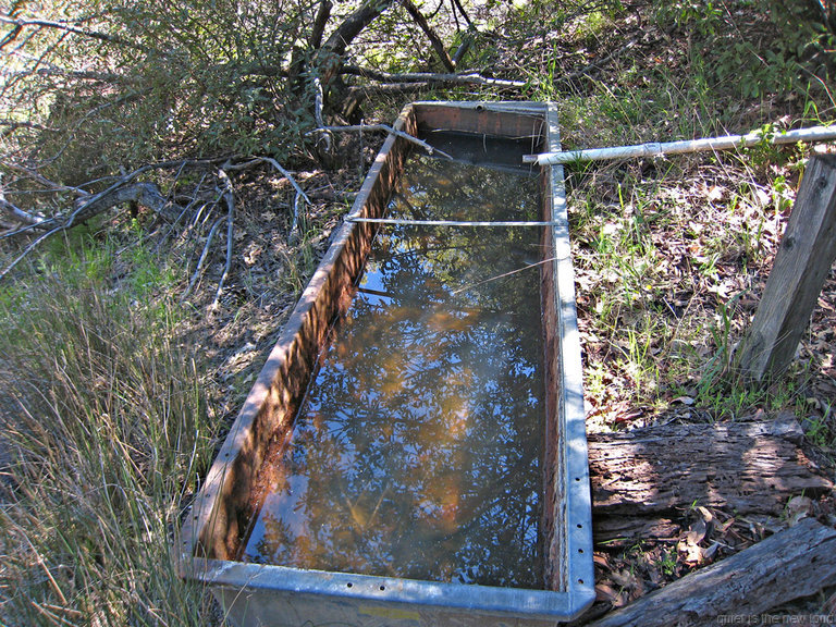 Deer Horn Spring