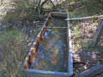 Deer Horn Spring