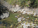 Coyote Creek at Skeels Meadow