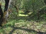 Closed road at Skeels Meadow