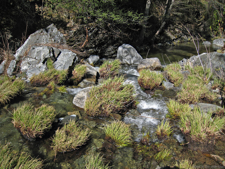 Coyote Creek at Hobbs Road