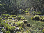 Coyote Creek at Hobbs Road