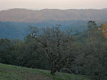 Hills at sunset