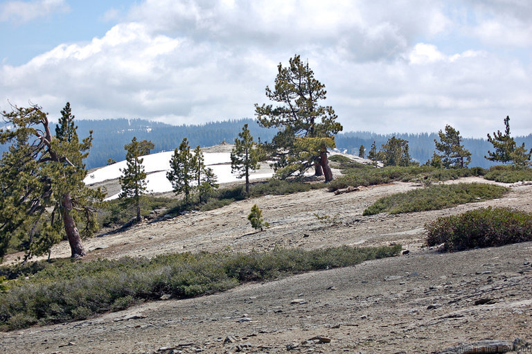 El Capitan summit