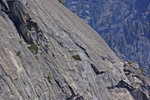 El Capitan, Southwest Face