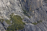 El Capitan, Southwest Face