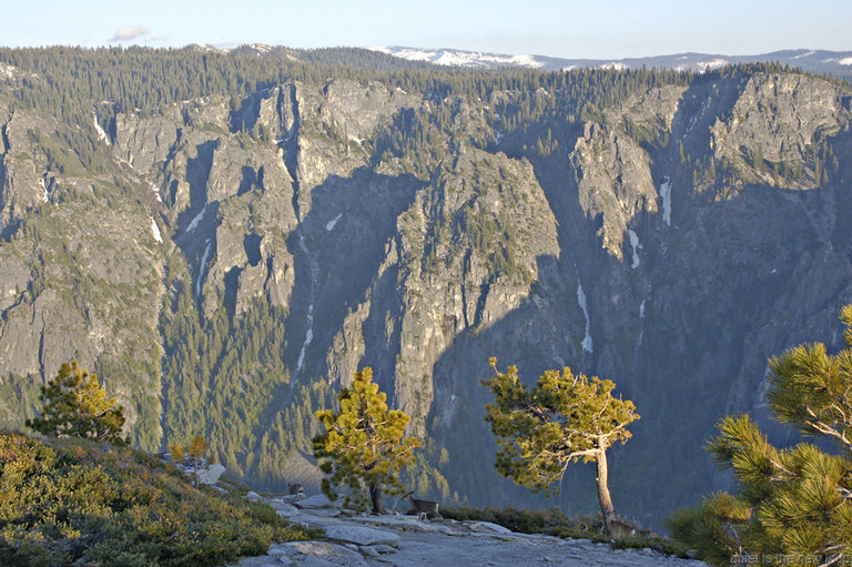 South Rim