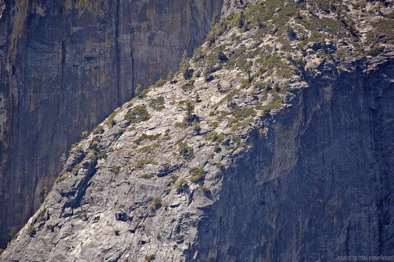 Middle Cathedral Rock