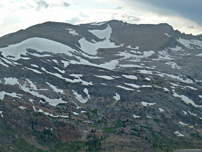 False White Mountain