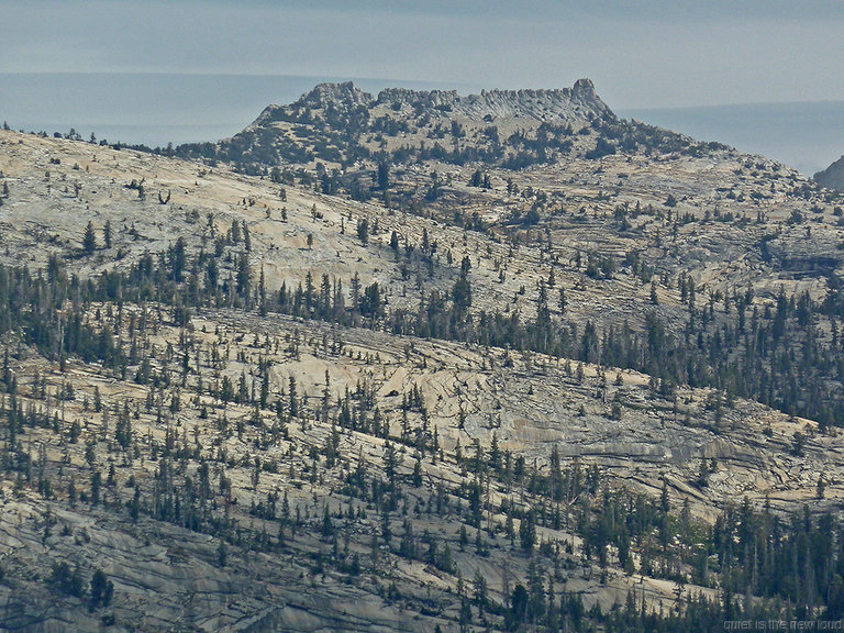 Tresidder Peak