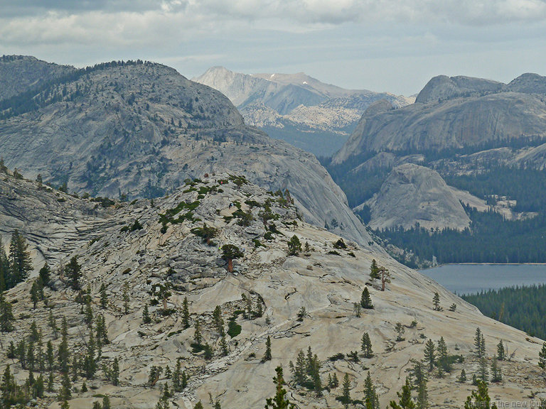 Polly Domes, Mt Conness, Pywiack Dome, Tenaya Lake