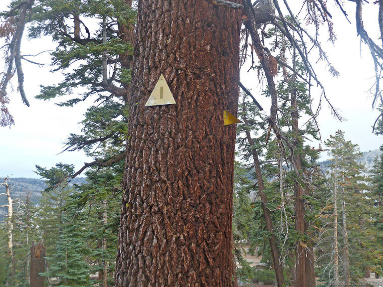 Ski trail markers