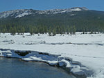 Tuolumne Meadows