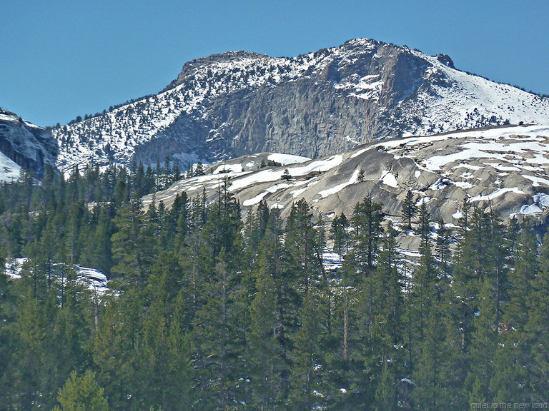 Tuolumne Peak