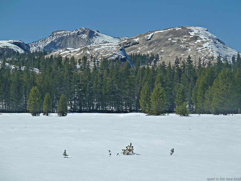 Tuolumne Peak, Cottage Domes