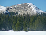 Cottage Domes