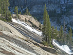 LeConte Falls