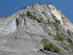 yosemite050412-224.jpg