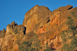 pinnacles112810-094.jpg