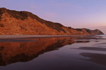 pointreyes110911-75.jpg