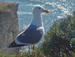 Point Reyes 02-10-13