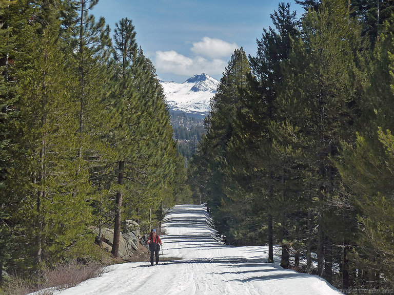 Glacier Point Road