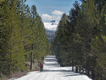 Glacier Point Road