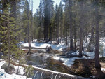 Bridalveil Creek