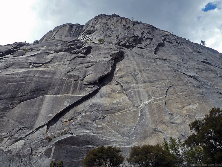 Liberty Cap