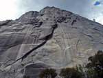 Liberty Cap