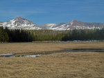 yosemite051113-595.jpg