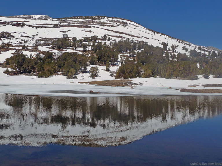 yosemite051813-556.jpg